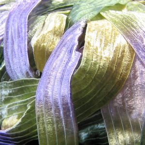 Trendsetter Segue Yarn - 0118 - Moss and Lilacs