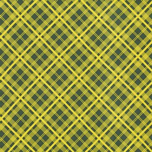 Denyse Schmidt Chicopee Fabric - Simple Plaid - Lime