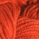 Mirasol Sawya - 1804 Orange Yarn photo