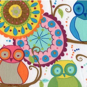 Valori Wells Della Flannel Fabric - Owl Friends - Multi