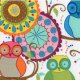 Valori Wells Della Flannel - Owl Friends - Multi Fabric photo