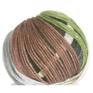 Schoeller Stahl Limbo Color Yarn - 2573 Ireland