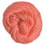 Tahki Cotton Classic - 3473 - Coral Yarn photo