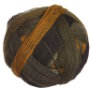 Schoppel Wolle Zauberball - 2135 (Discontinued) Yarn photo