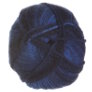 Plymouth Yarn Encore Worsted Colorspun - 7657 Blueberry Ombre Yarn photo