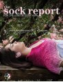 Janel Laidman The Sock Report - Vol. 1 - Midsummer's Dream Books photo
