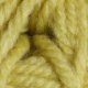 Universal Yarns Classic Chunky - 60700 Dried Moss Yarn photo