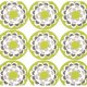 Ty Pennington Fleece Impressions - Blossom - Chartreuse Fabric photo