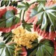 Philip Jacobs Variegated Ivy - Natural Fabric photo