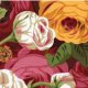 Philip Jacobs Rambling Roses - Natural Fabric photo