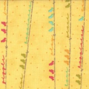 Sweetwater Noteworthy Fabric - Sing Out Loud - Daisy (5502 25)