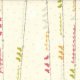 Sweetwater Noteworthy - Sing Out Loud - Vanilla (5502 11) Fabric photo
