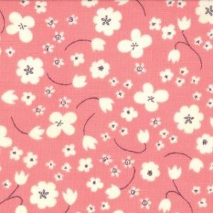 Aneela Hoey Posy Fabric - Ditsy - Geranium (18555 19)