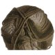Plymouth Yarn Encore Worsted Colorspun - 7658 Taupe Ombre Yarn photo