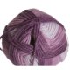 Plymouth Yarn Encore Worsted Colorspun - 7659 Grape Ombre Yarn photo