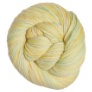 Cascade 220 Superwash Paints - Mill Ends - 9938 - Buttermint Yarn photo