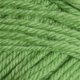 Universal Yarns Deluxe Worsted Superwash - 710 Greenery Yarn photo