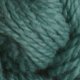 Cascade - 8690 Frosty Green Yarn photo