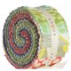 Amy Butler Forever Amy Precuts - Design Roll Fabric photo