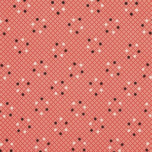 Denyse Schmidt Florence Fabric - Dot Plaid - Carnelian
