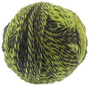 Schoppel Wolle Zauberball Crazy Yarn - 2081 (Discontinued)