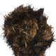 Rozetti Wicked Fur - 106 Cheetah (Discontinued) Yarn photo