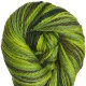 Cascade 128 Superwash Multis - 104 Greens (Discontinued) Yarn photo