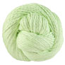 Blue Sky Fibers Organic Cotton - 602 - Honeydew Yarn photo