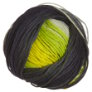 Schoppel Wolle Reggae Ombre - 1700 Yarn photo