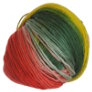 Schoppel Wolle Reggae Ombre - 1701 Yarn photo