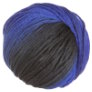 Schoppel Wolle Reggae Ombre - 1968 (Discontinued) Yarn photo