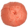 Cascade Cherub Aran - 14 Melon Yarn photo