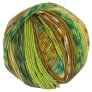 Schoppel Wolle Ambiente - 1860 Yarn photo