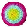 Freia Fine Handpaints Ombre Sport - Hard Candy Yarn photo