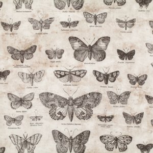 Tim Holtz Eclectic Elements Fabric - Butterfly - Taupe