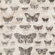 Tim Holtz Eclectic Elements - Butterfly - Taupe Fabric photo