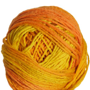 Schoppel Wolle Reggae Ombre Yarn - 1965 (Discontinued)