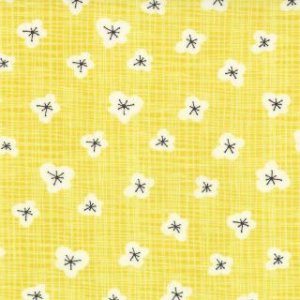 Kate & Birdie Bluebird Park Fabric - Magnolia - Sunrise (13106 16)