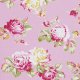 Tanya Whelan Sunshine Roses - Sunshine Roses - Pink Fabric photo