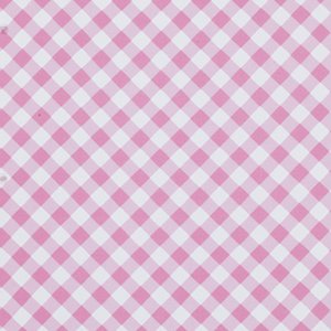 Tanya Whelan Sunshine Roses Fabric - Gingham - Pink