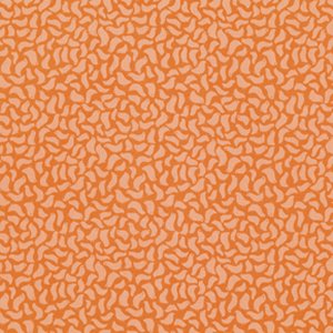 Jenean Morrison Wishing Well Fabric - Chirp - Orange