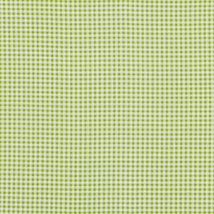 Jenean Morrison Wishing Well Fabric - Gingham - Green