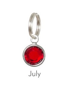 Anna Bee Jewelry Birthstone Stitch Markers - 07 - July