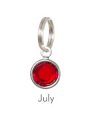 Anna Bee Jewelry Birthstone Stitch Markers - 07 - July Accessories photo