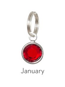 Anna Bee Jewelry Birthstone Stitch Markers - 01 - January