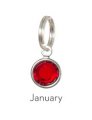 Anna Bee Jewelry Birthstone Stitch Markers - 01 - January Accessories photo