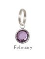 Anna Bee Jewelry Birthstone Stitch Markers - 02 - February Accessories photo