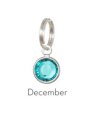 Anna Bee Jewelry Birthstone Stitch Markers - 12 - December Accessories photo