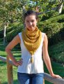 Pam Powers Knits - Cowgirl Cowl Patterns photo