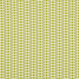 Jenean Morrison True Colors Fabric - Ribbon - Lime